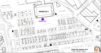 Punt Lila Aplec del Caragolimage.jpg